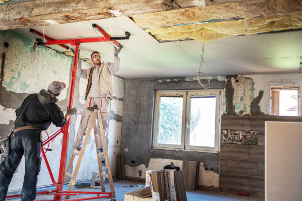 Best Insulation Maintenance and Repair in Caro, MI