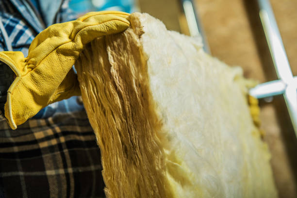Best Commercial Insulation in Caro, MI