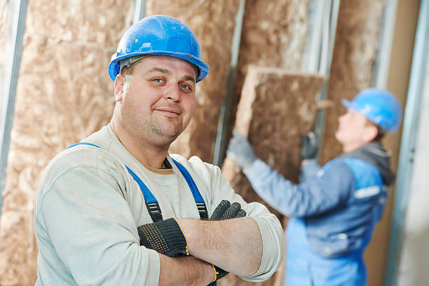 Best Insulation Installation Services in Caro, MI